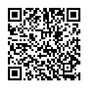 就算是官方定期清理的大道也会出现恐怖的食人生物二维码生成