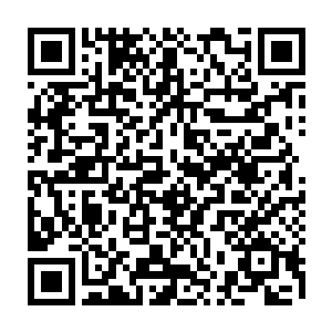 就算是对上特种兵都绝对不会落入下风的贴身保镖的反应就值得巴菲特震惊了二维码生成