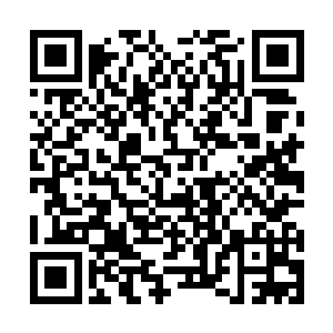 就算是小白鼠也要耐用的啊~~之前那批资质虽然不错二维码生成