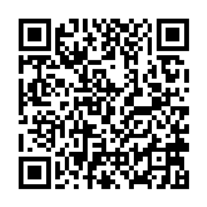 就算是已经渡过神劫的修真者也不可能吸收炫极天火二维码生成