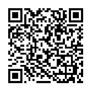 就算是恶魔深渊出来的无角人遇到这种被颠倒黑白二维码生成