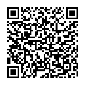 就算是想闯过那些明显变得更加炽烈的灭世天火对他而言也是极为困难的二维码生成