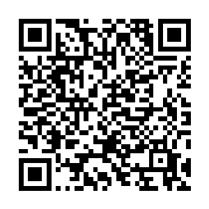 就算是成就天地之间东西南北分割的四大主宰一般的人物二维码生成