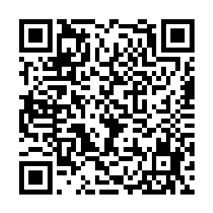 就算是把那白莲教现有的线索及妖孽全都压入京城二维码生成