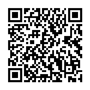 就算是拜尔也不敢在普通的战役之中投入这些昂贵的战士二维码生成