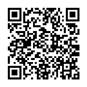 就算是明面上的实力・也和我们四大家族合起来相差不多二维码生成