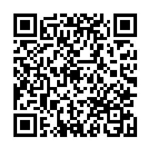 就算是最利害的攀岩高手羚羊恐怕也没有办法从这里过去二维码生成
