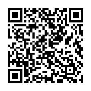 就算是有噬雷草的话也根本就治不好你孙子的身体的二维码生成