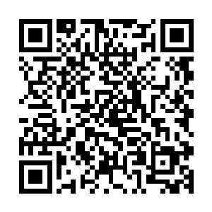 就算是有在鲸群鸣叫声还有击打海浪声中贝海也不可能听的到二维码生成