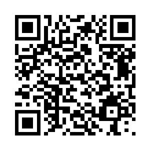 就算是有猎物也抢不过四条腿的雪狼二维码生成