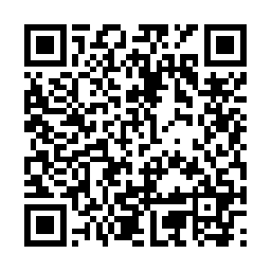 就算是梦想但朕也不会大胆到拿皇后和太子来试险二维码生成