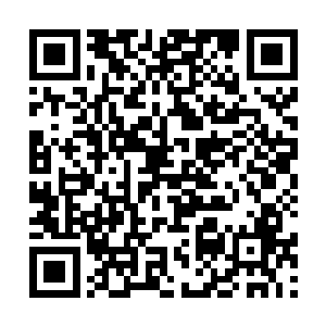 就算是死了一个s级后期和一个s级中期的高手又如何二维码生成