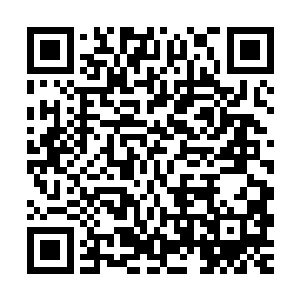 就算是比这些东西珍贵数十倍的东西我也可以轻而易举的拿出来二维码生成