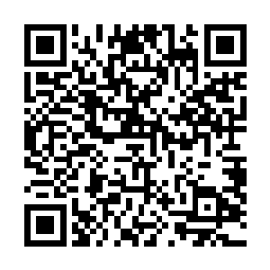 就算是灭世双蛇利用神力强行将她的力量提升到传奇境界二维码生成