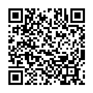 就算是特训丨也没必要非把自己搞的遍体鳞伤那么吓人二维码生成