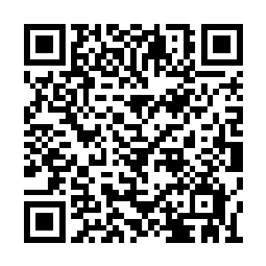 就算是现在最巅峰时期的王宝也无法战胜三妖圣二维码生成