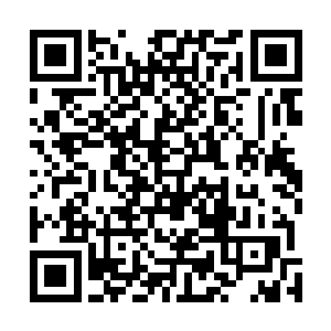 就算是现在这个世界所有的地仙加一起都不是那位的对手二维码生成