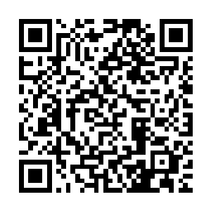 就算是登峰境界的武术家在这个状态下也没有可能躲开任意一道二维码生成