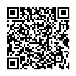 就算是白虎阁想要找到这样一个人恐怕也是难上加难吧二维码生成