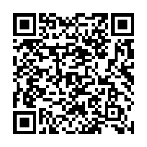 就算是真正的古神境界的龙魂只怕也能够镇压一时三刻二维码生成