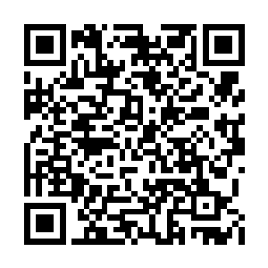 就算是神经大条的马晶莹也知道收敛自己的性子二维码生成