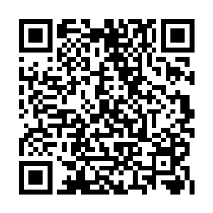 就算是等闲的顶级神后期高手也很难拿下对方啊二维码生成