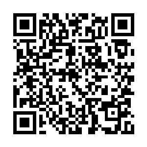 就算是补天石最终修炼成人形许紫烟都不会奇怪二维码生成