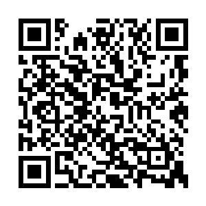 就算是被范子衿抱在怀里也还是想父亲想母亲了二维码生成