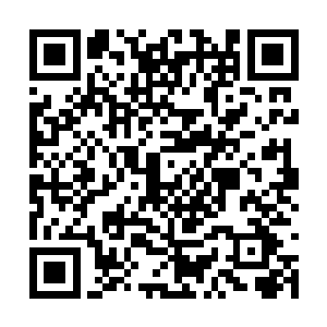 就算是被身躯被撕裂了也能在短短的几息时间复原二维码生成