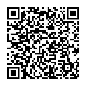 就算是贝海再厉害现在也没有法子把这两年多来不管的虾蟹都集中起来二维码生成