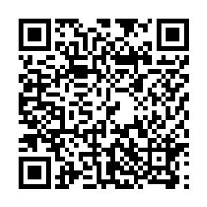 就算是身体强横的古妖被如此庞大的身躯以三鸣之速撞击二维码生成