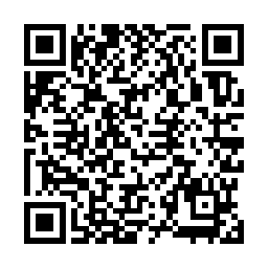 就算是这五鬼子午噬魂咒阵似乎也失去了原本的威力一样二维码生成