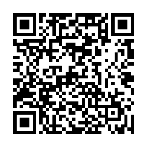 就算是造化秘境也不可能一下子孕育出这么多的灵药吧二维码生成