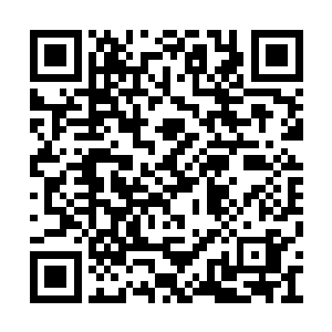 就算是遭到其他王者支脉的挑衅也只能是忍下来二维码生成