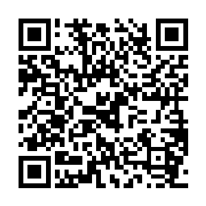 就算是那些爱情动作片也只是碰巧看过一两次而已……二维码生成