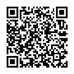 就算是那传说中的虚无圣主最多跟魔主平分秋色而已二维码生成