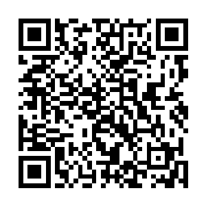 就算是那小霸王刘佳杰一直想要抱秦嫣然都没有这个机会二维码生成