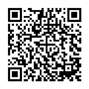 就算是非正常人也只能是通过碰触到小舞才能感知到小舞的不同二维码生成