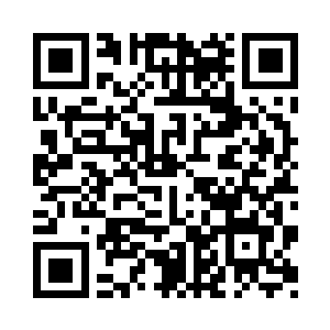 就算是领袖们一再解释这是我的意思二维码生成