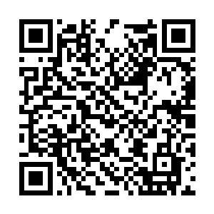 就算是鸡蛋里挑骨头的董小小在喝了叶凡的粥之后二维码生成