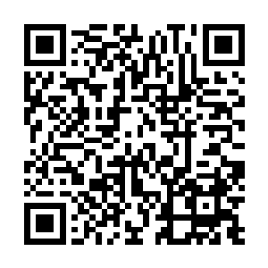 就算是鸣雷院第一的何凯明都不敢说自身不受伤斩杀王风二维码生成