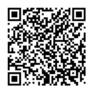 就算是龙组大龙头龙傲天加上龙组总教官龙傲海都远不是周狼的对手二维码生成