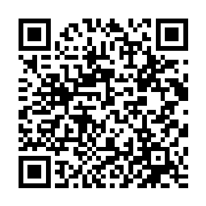 就算是龙耀会也免不了用这样的方式在意见不统一的时候商量二维码生成