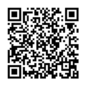 就算晏老太爷和晏老太太盘问晏惠卿身边的贴身丫鬟二维码生成