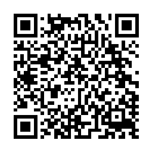 就算曾经宰辅家族药物资源堆积也只到练气四层大周天圆满二维码生成