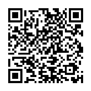 就算有个返虚大妖让你连皮带骨的吃了也不代表就能晋升二维码生成