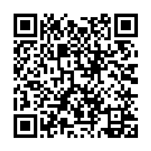 就算有些顽固派的魔幻宫弟子对此有些不满和不解二维码生成