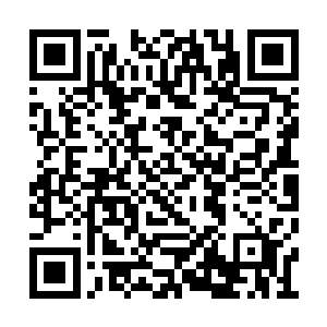 就算有权有势也插手不了我们修真者之间的事情二维码生成
