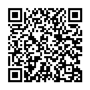 就算有的地方因为消息隔绝不知道这两天发生在外面的事二维码生成