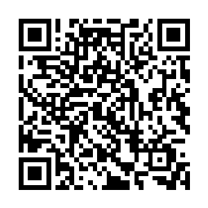 就算有采药人寻到之后也不可能不将其采摘下来而任其生长二维码生成